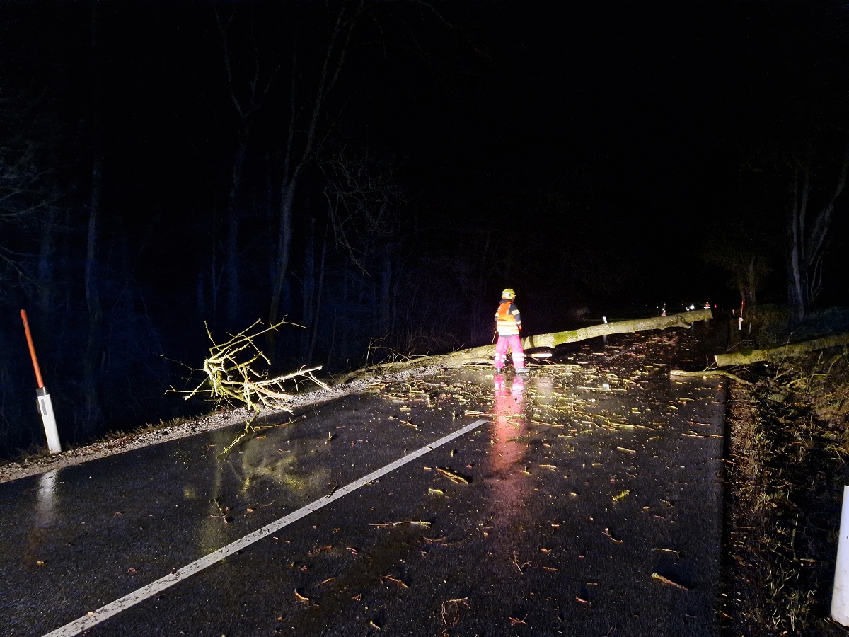 Sturmtief Zoltan - umgestürzter Baum