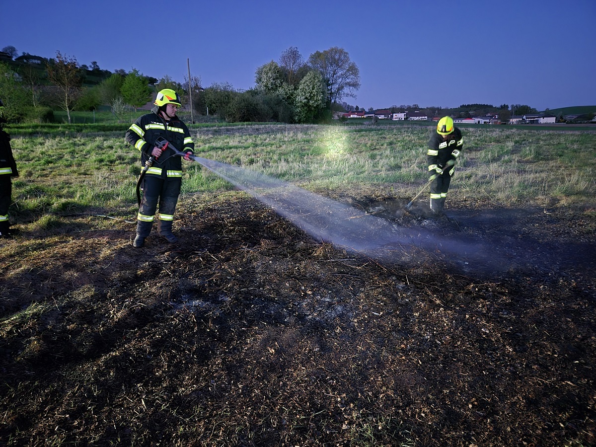 Flurbrand - Brand Astwerk