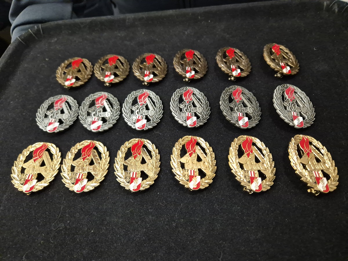 BDLA Bronze Silber und Gold